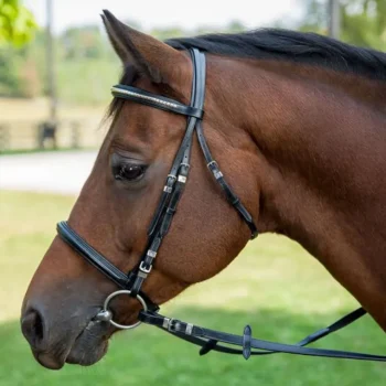 Clearance JPC EQUESTRIAN Henri De Rivel Clincher Bridle Black