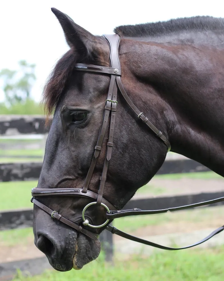 henri-de-rivel-piaffe-mono-cro-TflTHaPB-2.webp Clearance JPC EQUESTRIAN Henri De Rivel Piaffe Mono Crown Bridle With Flash Noseband & Patent Leather