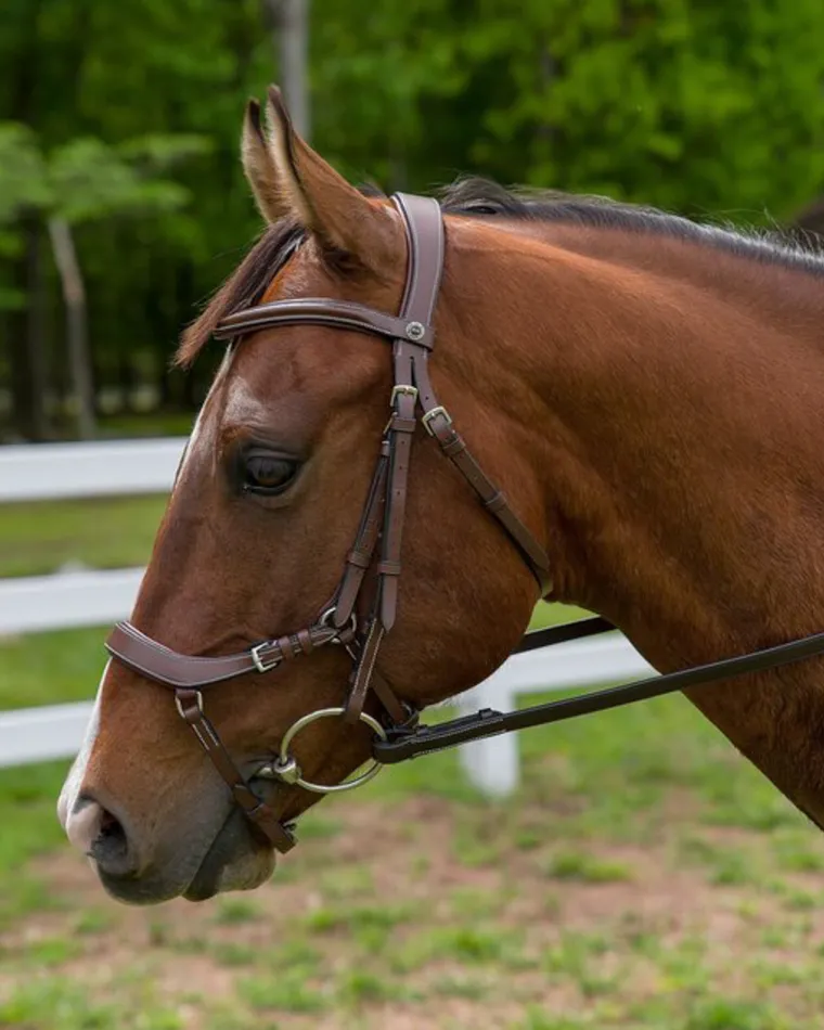 henri-de-rivel-pro-anatomical-OeIvykLe-2.webp Online JPC EQUESTRIAN Henri De Rivel Pro Anatomical Bridle