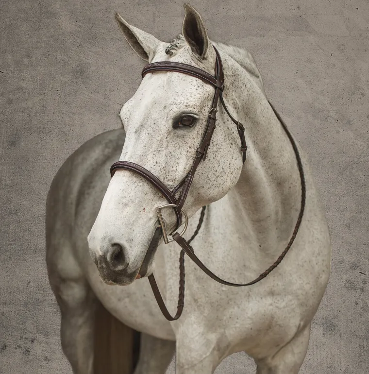 henri-de-rivel-pro-mono-crown-RSkrhZEi-1.webp Sale JPC EQUESTRIAN Henri De Rivel Pro Mono Crown Fancy-Stitched Padded Bridle With Laced Reins