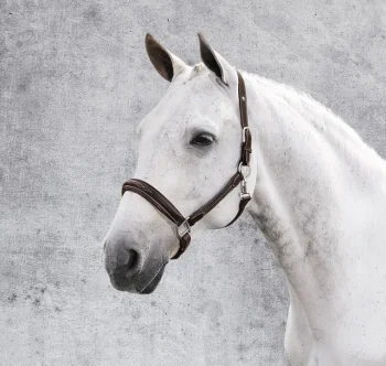 Clearance JPC EQUESTRIAN Henri De Rivel Stress Free Halter With Fancy Contrast Stitching