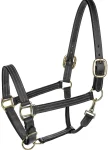 New JPC EQUESTRIAN Henri De Rivel Triple-Stitched Halter