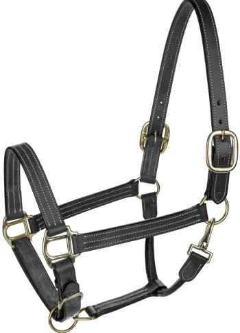 New JPC EQUESTRIAN Henri De Rivel Triple-Stitched Halter