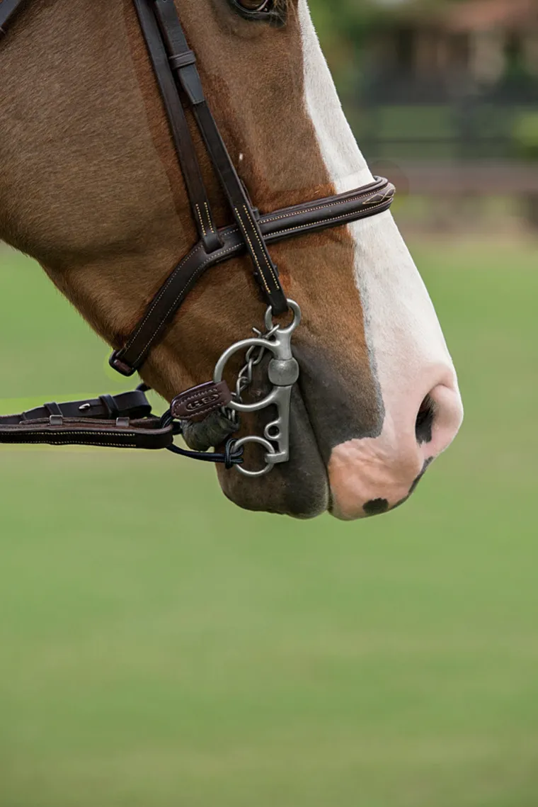 herm-sprenger-pelham-converter-qzHWwDfR-1.webp Sale GEM-HERM SPRENGER Herm Sprenger® Pelham Converters