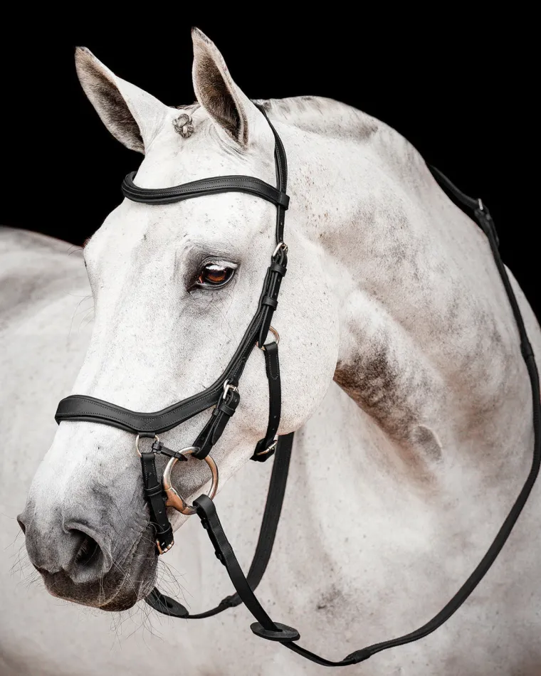horseware-ireland-micklem2-com-mxwARSNQ-0.webp Best HORSEWARE ® Ireland Micklem2 Competition Bridle With Reins