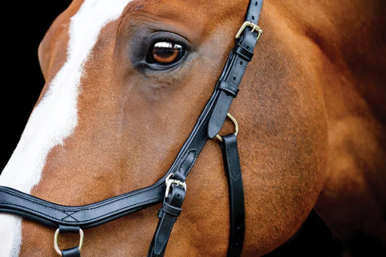 horseware-ireland-micklem2-com-mxwARSNQ-2.webp Best HORSEWARE ® Ireland Micklem2 Competition Bridle With Reins