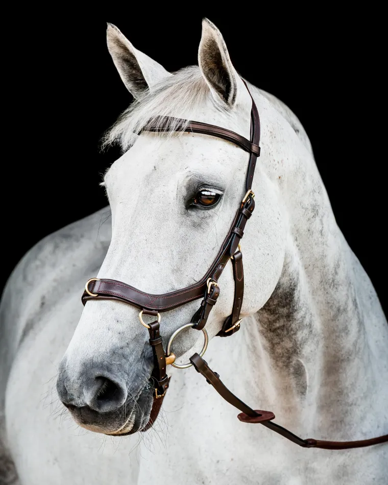 horseware-ireland-micklem2-mul-rIEmkLVQ-0.webp Best HORSEWARE ® Ireland Micklem2 Multibridle USA With Reins