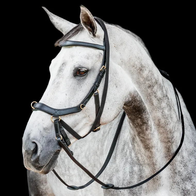 horseware-ireland-micklem2-mul-rIEmkLVQ-1.webp Best HORSEWARE ® Ireland Micklem2 Multibridle USA With Reins