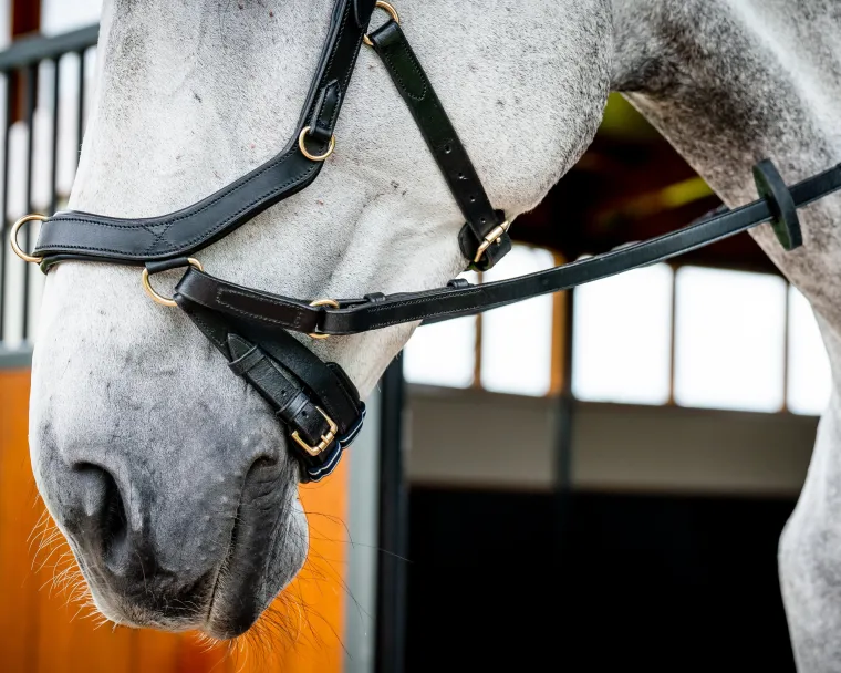 horseware-ireland-micklem2-mul-rIEmkLVQ-2.webp Best HORSEWARE ® Ireland Micklem2 Multibridle USA With Reins