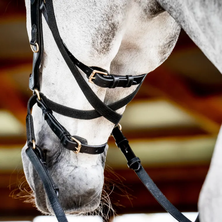 horseware-ireland-micklem2-mul-rIEmkLVQ-3.webp Best HORSEWARE ® Ireland Micklem2 Multibridle USA With Reins