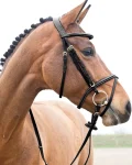 Discount EQUINAVIA Horze Constance Padded Flash Snaffle Bridle