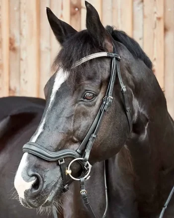 Hot EQUINAVIA Horze Highbury Anatomical Crystal Dressage Bridle