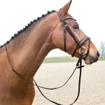 horze-lester-snaffle-bridle-WtinstjT-0.webp