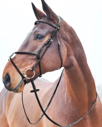 Fashion EQUINAVIA Horze Prescott Figure-8 Bridle