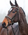 horze-venice-snaffle-bridle-eKyENSxx-0.webp