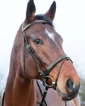 horze-venice-snaffle-bridle-eKyENSxx-0.webp