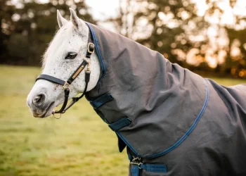 Best HORSEWARE ® Ireland Rhino® Plus HexStop Vari-Layer® 250 Gram Medium-Weight Turnout Blanket Grey/Indigo/Navy
