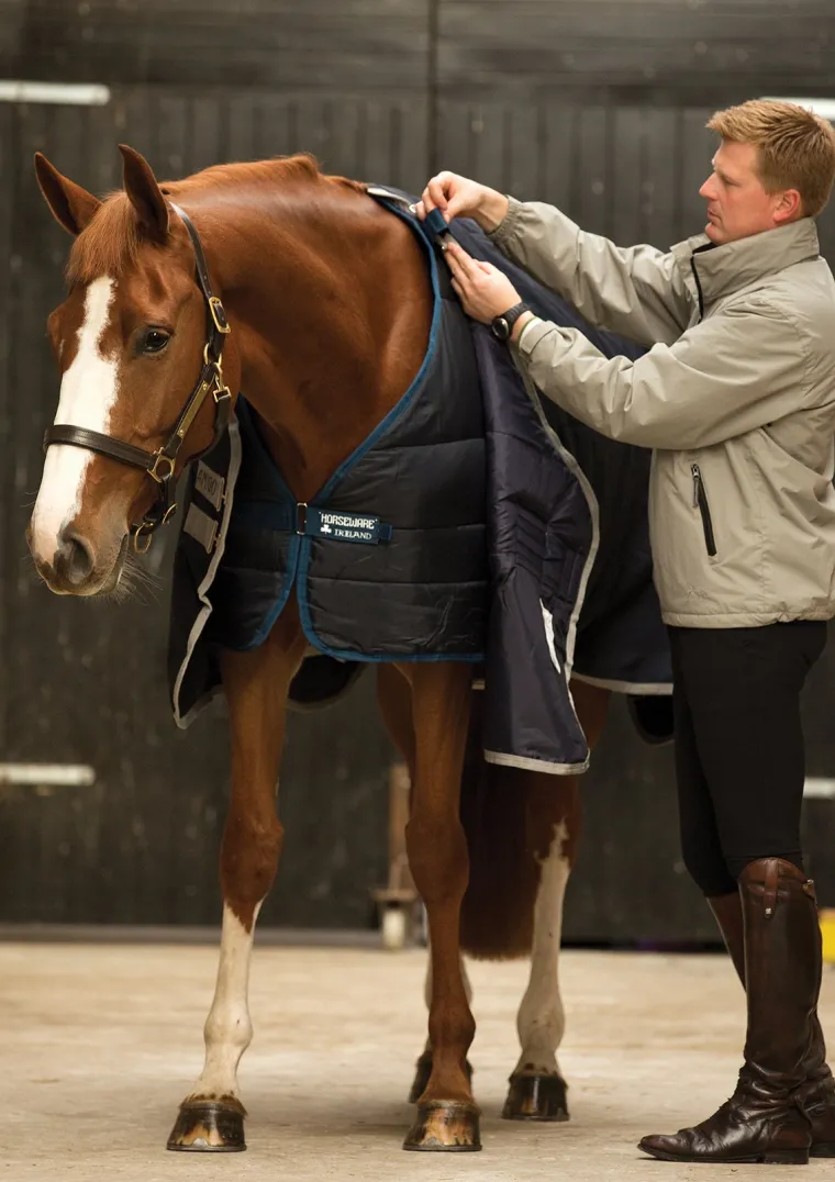 iWfZmsZg_6.webp Fashion HORSEWARE ® Ireland 300 Gram Blanket Liner Navy/Navy