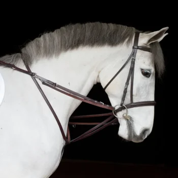 Outlet TORY LEATHER Company German Martingale Rein Set