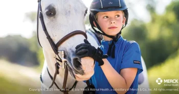 Best ANIMAL HEALTH INT Safe-Guard® Dewormer