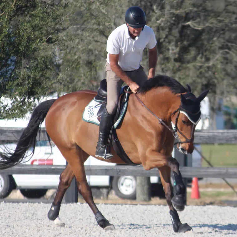 irh-ir4g-helmet-LmHvISiy-5.webp Online INT RIDING HELMET IRH® IR4G Helmet