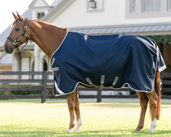 Outlet HORSEWARE ® Ireland Amigo® 1200D Turnout Sheet Standard Neck