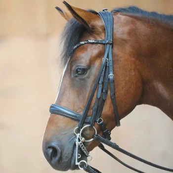 New PEP-KAVALKADE Ivonne Convertible Bridle Black/Black