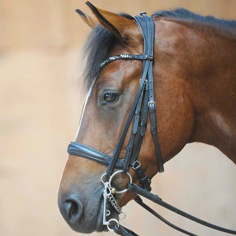 ivonne-convertible-bridle-fzgqdUoc-1.webp New PEP-KAVALKADE Ivonne Convertible Bridle Black/Black
