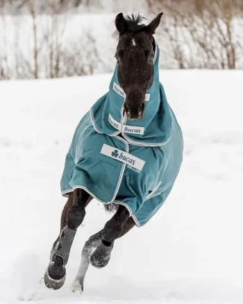 Sale TOKLAT ORIGINALS Bucas Atlantic 400 Gram Turnout Blanket Spruce