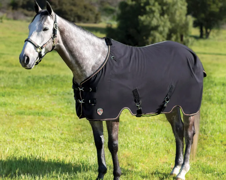 jAdxBbJE_0.webp New KENSINGTON ™ Mini Poly Cotton Stable Sheet