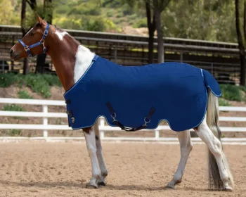 New KENSINGTON ™ Mini Poly Cotton Stable Sheet