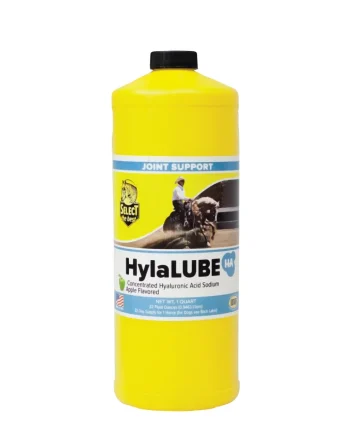 Sale ANIMAL HEALTH INT Select the Best® HylaLUBE™ - Quart
