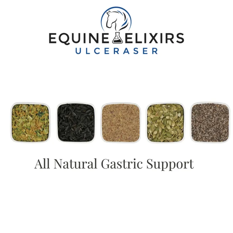 kRyOlueH_1.webp Online EQUINE ELIXIRS INC Equine Elixirs Ulceraser®