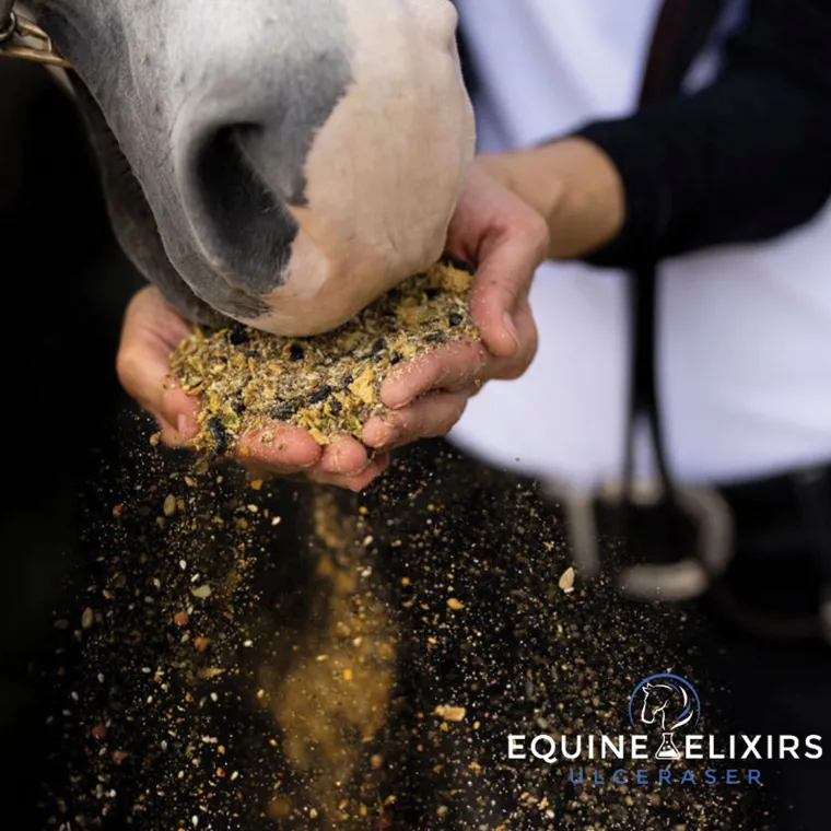 kRyOlueH_2.webp Online EQUINE ELIXIRS INC Equine Elixirs Ulceraser®