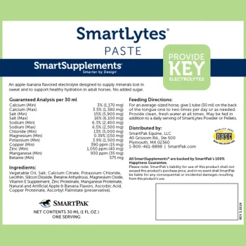 Hot SMARTEQUINE ™ SmartLytes Paste NA