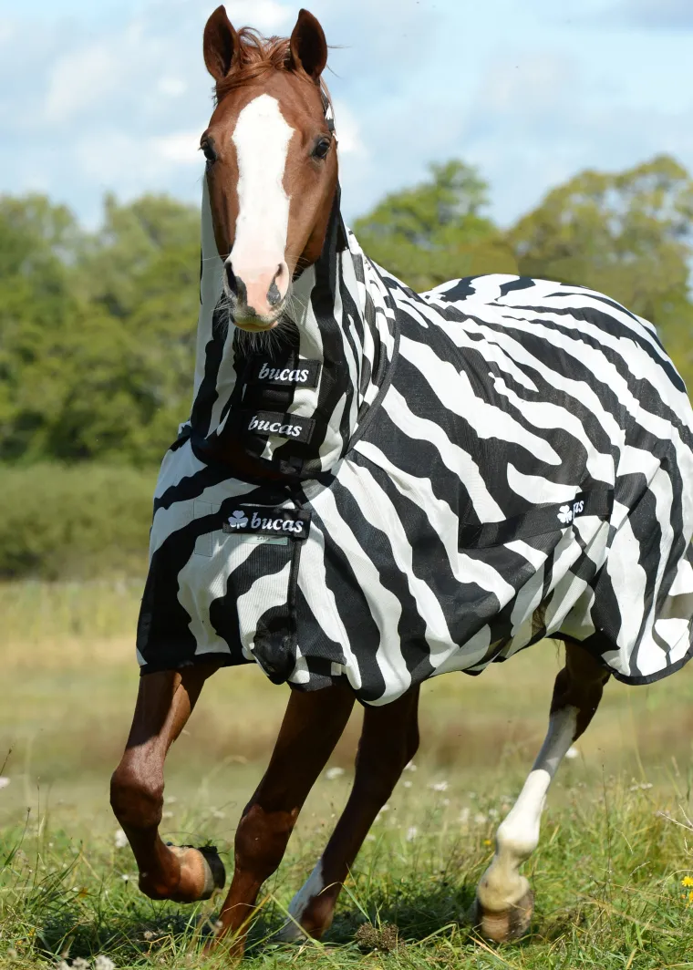 kZDpwznJ_2.webp Outlet TOKLAT ORIGINALS Bucas Buzz-Off Fly Sheet with High Neck Zebra