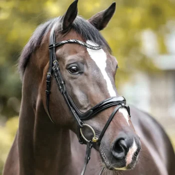 Discount PEP-KAVALKADE Kavalkade Ivana Snaffle Bridle Black Patent