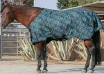 Outlet KENSINGTON ™ Pony Signature Medium Weight Turnout Blanket