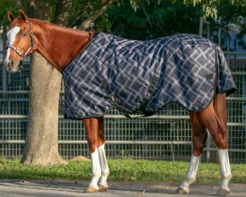 Outlet KENSINGTON ™ Pony Signature Medium Weight Turnout Blanket