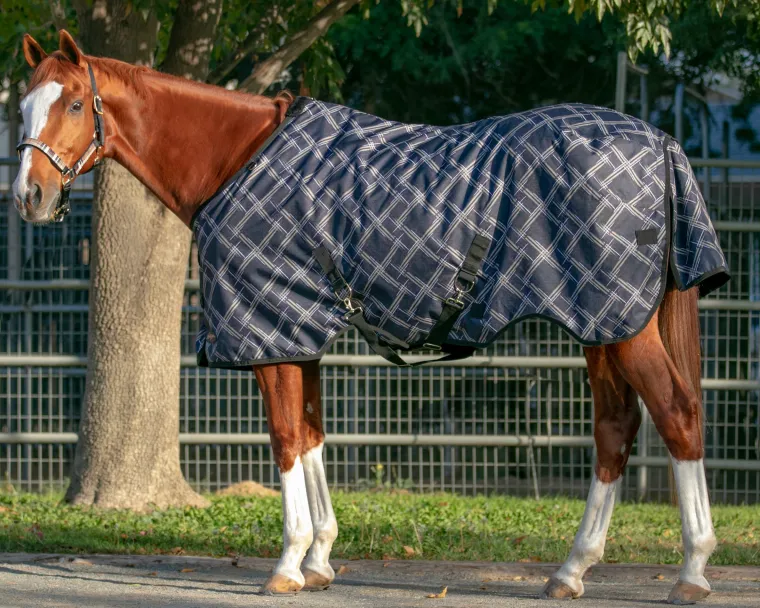 kensington-pony-signature-medi-pDhSlrwo-1.webp Outlet KENSINGTON ™ Pony Signature Medium Weight Turnout Blanket