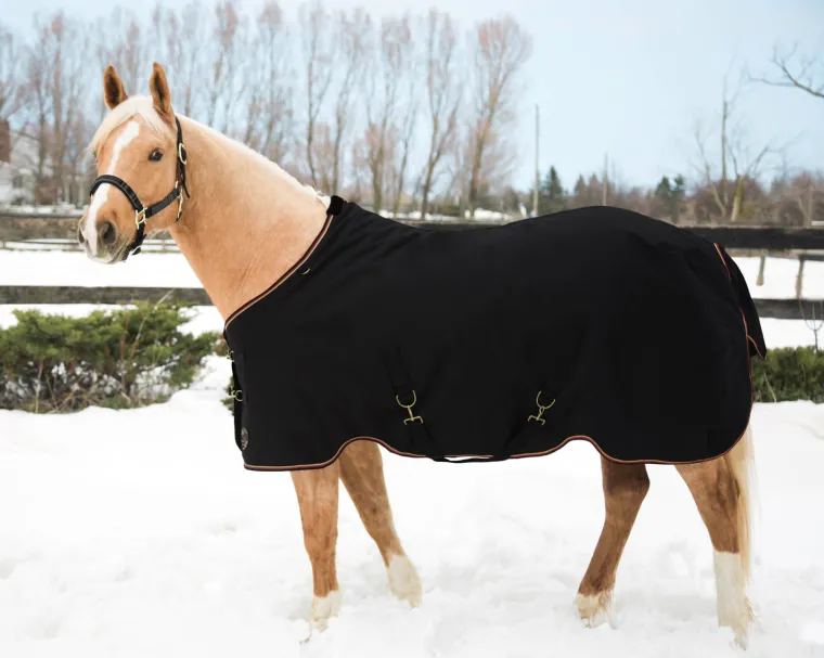 kensington-pony-signature-medi-pDhSlrwo-5.webp Outlet KENSINGTON ™ Pony Signature Medium Weight Turnout Blanket