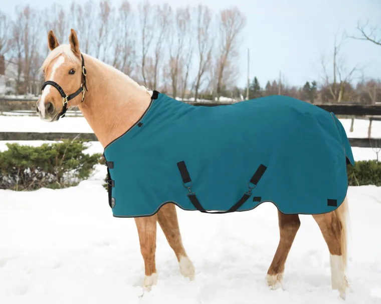 kensington-pony-signature-medi-pDhSlrwo-6.webp Outlet KENSINGTON ™ Pony Signature Medium Weight Turnout Blanket