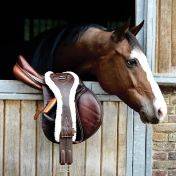 Outlet KENTUCKY HORSEWEAR Anatomic Sheepskin Long Girth Brown