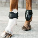 kentucky-horsewear-young-horse-cLBKcVBd-0.webp