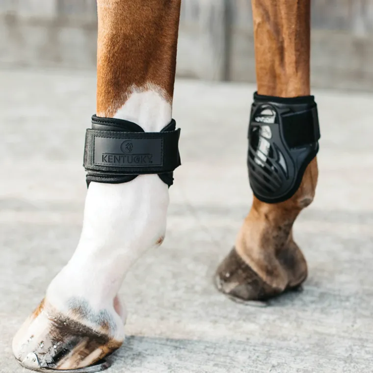kentucky-horsewear-young-horse-cLBKcVBd-1.webp Discount KENTUCKY HORSEWEAR Young Horse Fetlock Boots Black