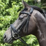 Sale KIEFFER SATTLERWAREN Kieffer Perseus Snaffle Bridle With Plain Browband Black