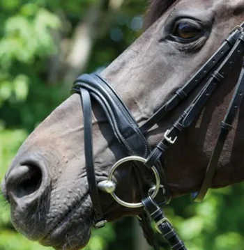 Sale KIEFFER SATTLERWAREN Kieffer Perseus Snaffle Bridle With Plain Browband Black