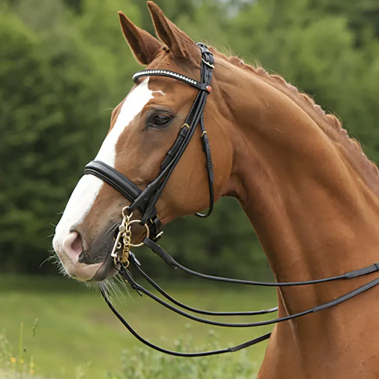 kieffer-sylvie-double-bridle-vCBgVQqr-0.webp Hot KIEFFER SATTLERWAREN Kieffer Sylvie Double Bridle Black