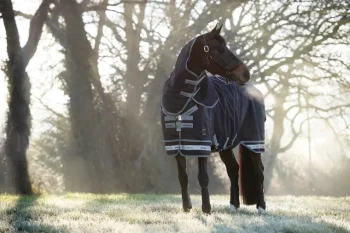 Sale HORSE HEALTH TRADE LeMieux® Arika Storm-Tek 350 Gram Turnout Blanket Navy