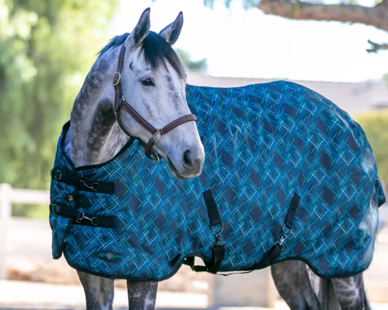 lEdjYhFd_0.webp New KENSINGTON ™ Signature Medium-Weight Turnout Blanket